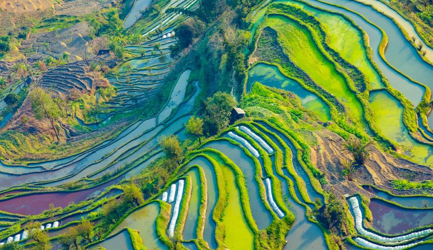 走进洛龙区TVC拍摄：解锁本地化场景与创意镜头的完美融合